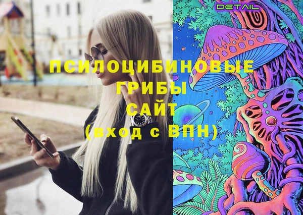 крисы Абдулино