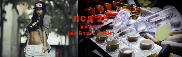 крисы Абдулино