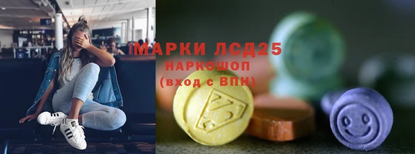 хмурый Абаза