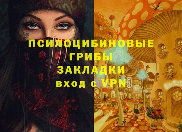 хмурый Абаза