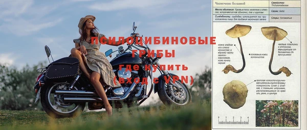 крисы Абдулино