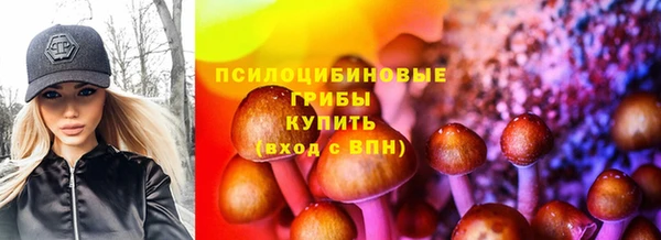 крисы Абдулино
