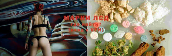 крисы Абдулино