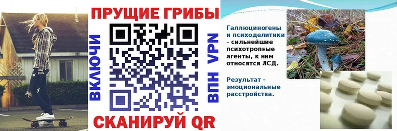 цены наркотик  Топки  OMG онион  Псилоцибиновые грибы Psilocybine cubensis 